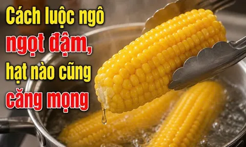 Luộc ngô ngọt muốn thơm, mềm mọng, đậm vị cho đừng là dại: Cho thêm thứ này hạt ngô mềm, thơm, ngọt thanh