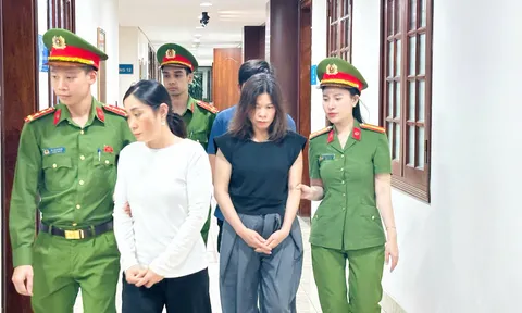 Thanh Hóa: Khởi tố vụ án mạo danh “lương y” bán thuốc đông y gia truyền chứa chất cấm