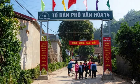 Từ ngày 2/9/2026 tiêu chuẩn Trưởng thôn, Tổ trưởng tổ dân phố, Phó trưởng thôn, Phó tổ trưởng tổ dân phố theo Quyết định 61 ra sao?