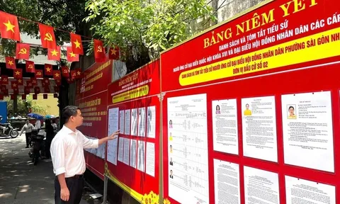 Quyết định cho thôi làm Trưởng thôn, Tổ trưởng tổ dân phố từ 05/9/2026 theo Quyết định 126 được thực hiện tại cuộc họp của cộng đồng dân cư đối với các trường hợp nào?