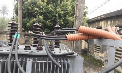 Cha con rủ nhau mang kìm, bao tải đi cắt trộm dây điện trong đêm, đến lần thứ 4 thì bị bắt quả tang
