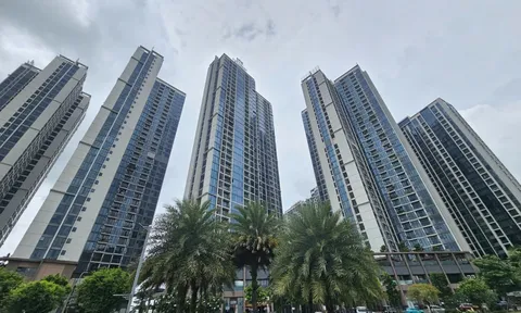 Dùng căn hộ chung cư làm văn phòng, kinh doanh có thể bị phạt tới 130 triệu đồng