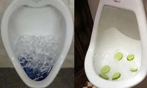 Vì sao nhiều người đổ đá lạnh vào bồn cầu? Công dụng bất ngờ ít ai biết