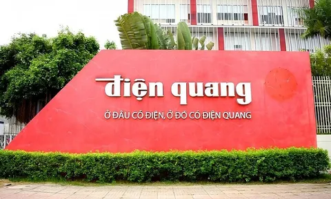 Tập đoàn Điện Quang bị phạt vì công bố sai lệch lợi nhuận