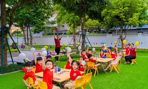 Hiệu trưởng, Phó hiệu trưởng trường mầm non là ai? Có chức năng gì? Có nhiệm kỳ, nhiệm vụ và quyền hạn như thế nào?