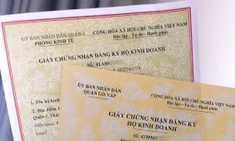 Cá nhân, hộ kinh doanh được khôi phục mã số thuế trong trường hợp nào? Hồ sơ đề nghị khôi phục mã số thuế bao gồm những gì?