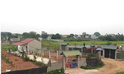 Xây nhà trên đất nông nghiệp: 2 trường hợp có thể không phải phá dỡ năm 2026, người dân cần nắm rõ