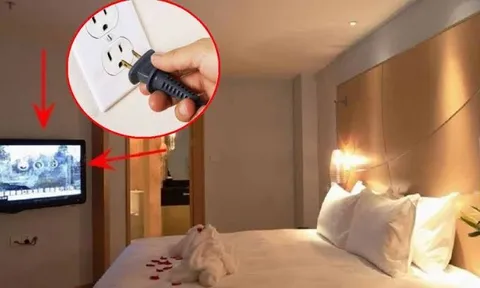 Các cặp đôi thường rút phíc cắm TV sau khi nhận phòng khách sạn: Vì sao?