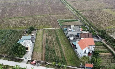 Chuyển đất nông nghiệp sang đất ở phải nộp những khoản tiền nào theo quy định mới nhất?