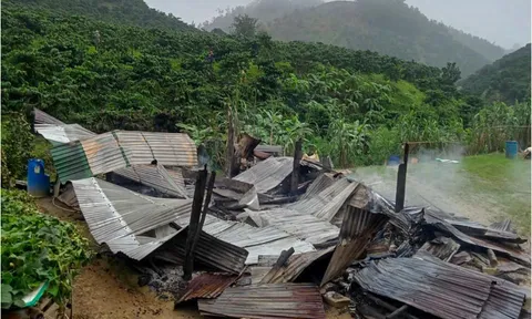 Cháy nhà trong rẫy, 3 mẹ con tử vong thương tâm, vì sao đến sáng mới phát hiện?
