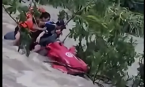 Cận cảnh khoảnh khắc công an giải cứu người đàn ông bám bụi cây giữa dòng nước lũ