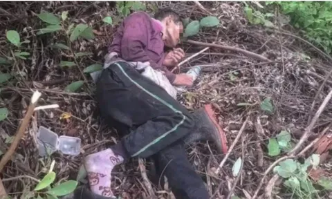 Vào rừng hái nấm, nghe tiếng chồng kêu cứu, người vợ chạy đến và chứng kiến cảnh đáng sợ