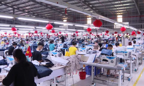Điều kiện để được hưởng trợ cấp mất việc làm hiện nay là gì? Công ty không trả trợ cấp mất việc làm sẽ bị xử lý như thế nào?