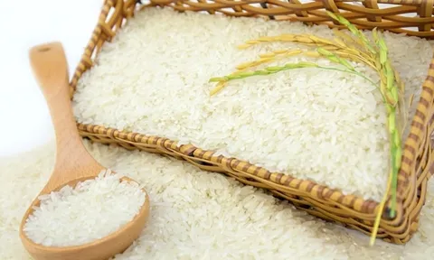 Cho thứ này vào thùng gạo, bí mật đằng sau sẽ khiến bạn bất ngờ
