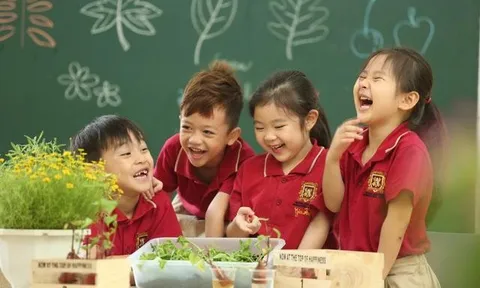 Thực hiện phổ cập giáo dục mầm non cho trẻ em từ 5 đến 6 tuổi, giáo dục bắt buộc và xóa mù chữ từ 01/11/2026 theo nguyên tắc nào?