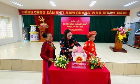 Tiến hành bầu Trưởng thôn, Tổ trưởng tổ dân phố từ ngày 01/10/2026 và lựa chọn người tham gia hoạt động ở thôn, tổ dân phố theo Quyết định 48, cụ thể ra sao?
