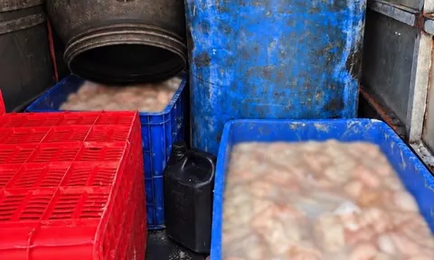 Tiến hành kiểm tra xe tải, cảnh sát phát hiện thứ "kinh dị" trong 7 thùng phi