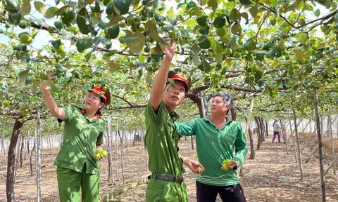 Những câu chuyện đẹp về nghị lực hoàn lương ở Khánh Hòa