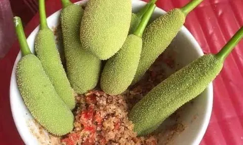 Loại quả có tên khiến nhiều người ngượng đỏ mặt, xưa hái vứt đi nay bán 50.000 đồng/kg, trồng một lần thu hoạch nhiều năm