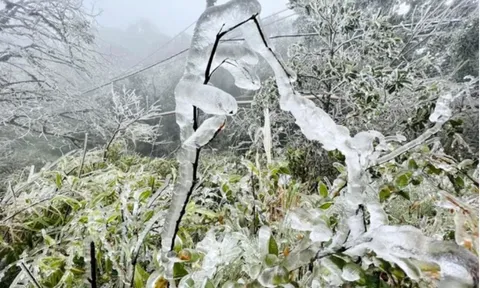 Không phải Sa Pa, Việt Nam có đỉnh núi cao 1.931 m từng lạnh -9°C, băng phủ trắng như châu Âu
