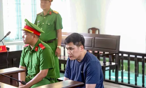 30 tháng tù dành cho tài xế tông tử vong nữ sinh ở Vĩnh Long