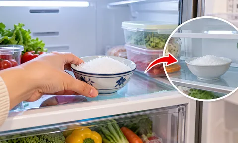 Đặt một bát muối vào ngăn mát tủ lạnh, nhiều người bất ngờ khi biết công dụng này