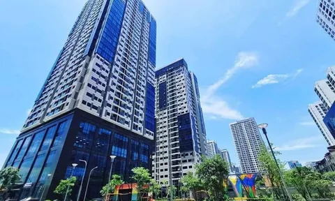 Công ty cổ phần Bất động sản Mỹ bị xử phạt