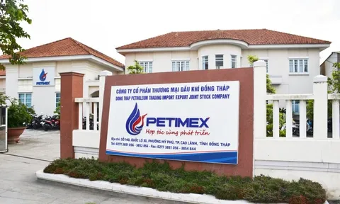 Thanh tra Chính phủ chỉ ra nhiều sai phạm tại Petimex, chuyển hồ sơ có dấu hiệu tội phạm sang công an