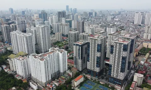 Mua căn hộ chung cư tiền tỷ, cần đặc biệt lưu ý những điều khoản tưởng nhỏ trong hợp đồng