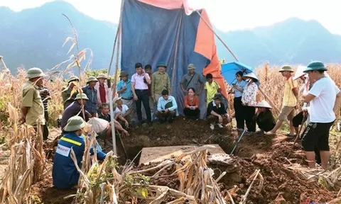 Nhóm trẻ chăn trâu phát hiện báu vật cổ nặng 3 tấn dưới ruộng ngô ở Ninh Bình, mang dấu ấn cực kỳ đặc biệt