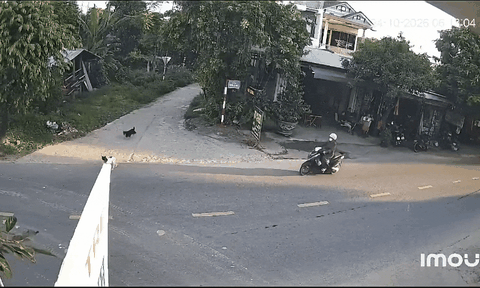 Cô gái đi xe máy bất ngờ trượt ngã ra giữa đường, xem camera ai cũng bức xúc
