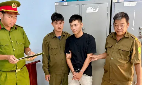 Nguyễn Hoài Thanh SN 2001 bị bắt vì lý do gì?