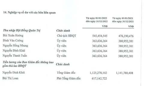 Kinh doanh lãi đậm, thu nhập các “sếp lớn” ngành dược khủng cỡ nào?