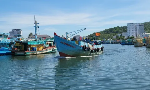 Kiên Giang: Ngư dân kỳ vọng ra khơi “thuận buồm xuôi gió”