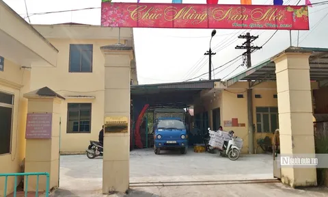 Dự án gà đẻ trứng cấp Nhà nước: Giờ họ mời tôi cũng không làm