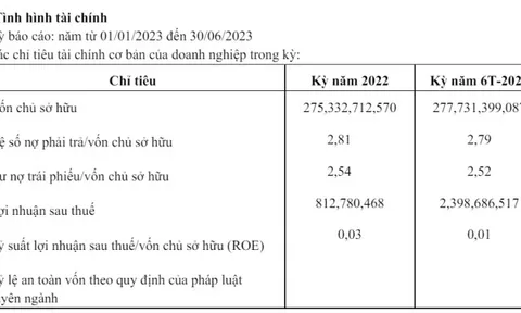 Một doanh nghiệp thuộc hệ sinh thái Phúc Khang Group báo lãi chỉ gần 2,4 tỷ đồng nửa đầu năm 2023
