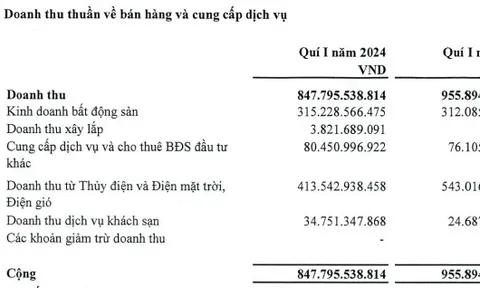 Giảm doanh thu mảng năng lượng, Tập đoàn Hà Đô báo lãi ròng quý I/2024 'đi lùi' 26%