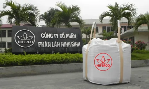 Phân lân Ninh Bình chốt quyền trả cổ tức năm 2023 bằng tiền