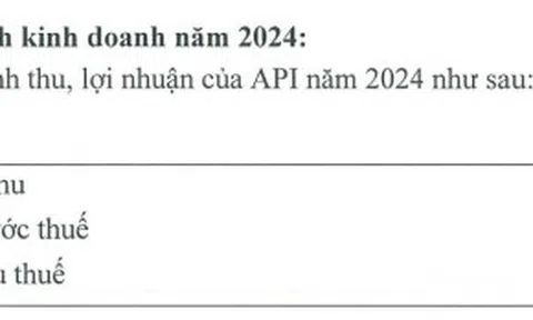 API đặt mục tiêu lãi ròng năm 2024 đạt 38 tỷ đồng khi vừa báo lỗ quý thứ tư liên tiếp