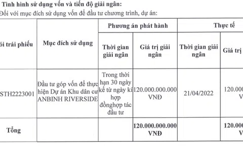 Đầu tư MST phát hành 120 tỷ đồng trái phiếu để làm gì?