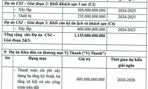 DIC Corp muốn chào bán 200 triệu cổ phiếu để 'rót' vốn cho hai dự án và trả nợ trái phiếu