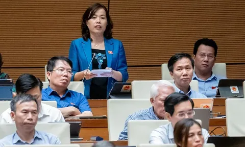 Giá vé máy bay tăng cao trách nhiệm thuộc về Bộ GTVT và Bộ Tài chính