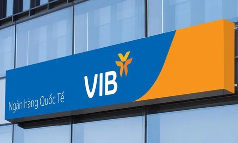 VIB: Lợi nhuận đạt 4.600 tỷ, tín dụng và huy động vốn tăng trưởng 5% trong 6 tháng đầu năm 2024