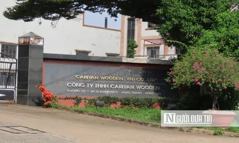 Đồng Nai: Công ty TNHH Cariyan Wooden (Việt Nam) bị phạt 159 triệu đồng