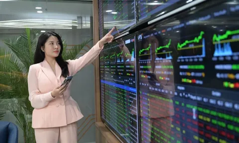 Chứng khoán tạo đáy hay chưa?