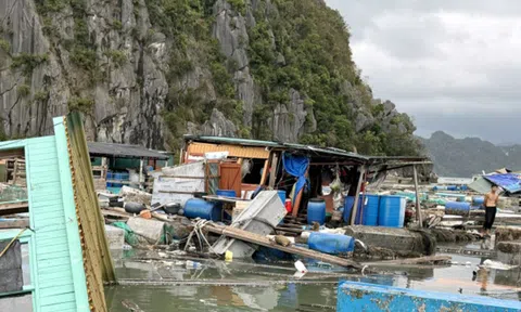 Quảng Ninh: Thiệt hại gần 24.000 tỷ đồng do bão số 3