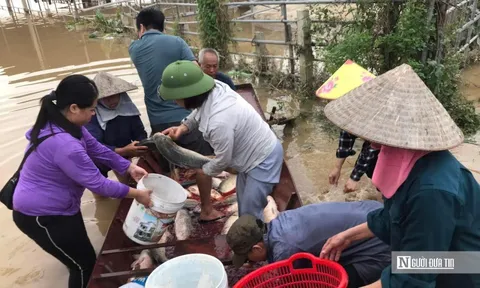 Tình người sau bão lũ: Những “phi vụ giải cứu” hàng trăm tỷ đồng