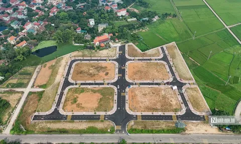 Hà Nội nâng diện tích tối thiểu của đất tách thửa lên 50m2