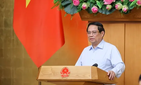 Chính phủ cho ý kiến về 03 dự án luật, 02 đề nghị xây dựng luật