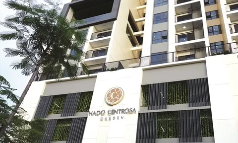 Hà Đô bị phạt, truy thu hơn 7,6 tỷ đồng tiền thuế